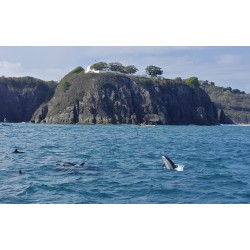 D'un rivage à l'autre - Une leçon d'océan